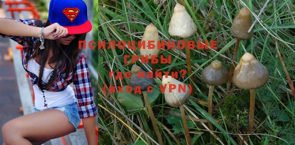 индика Кукмор