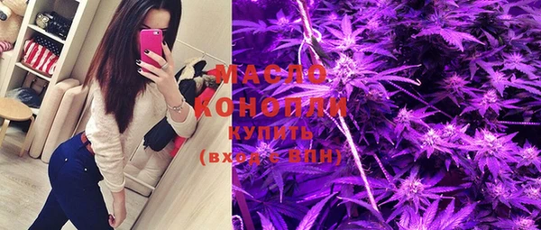 индика Кукмор