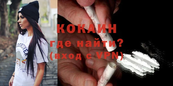 индика Кукмор