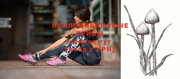 ешки Великий Новгород