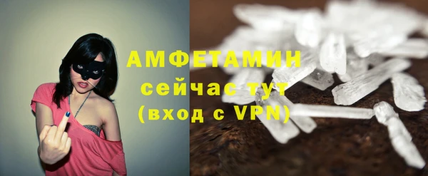 индика Кукмор