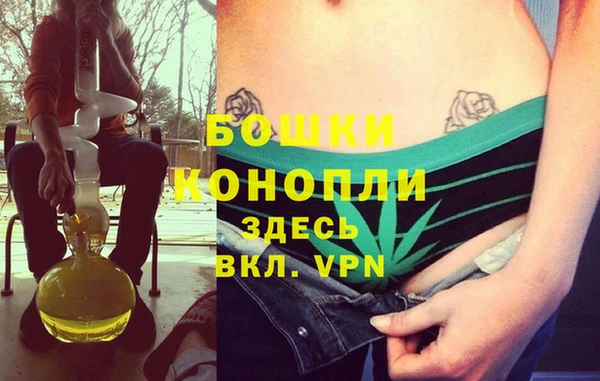 индика Кукмор