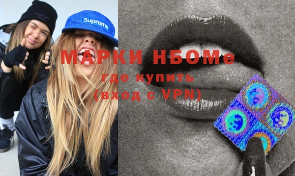 индика Кукмор