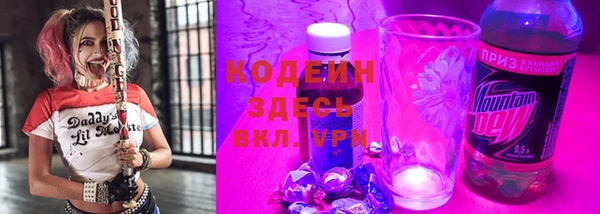 индика Кукмор